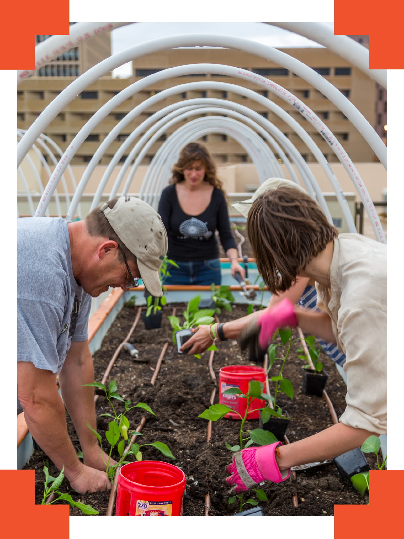 community garden in affordable multifamily housing design