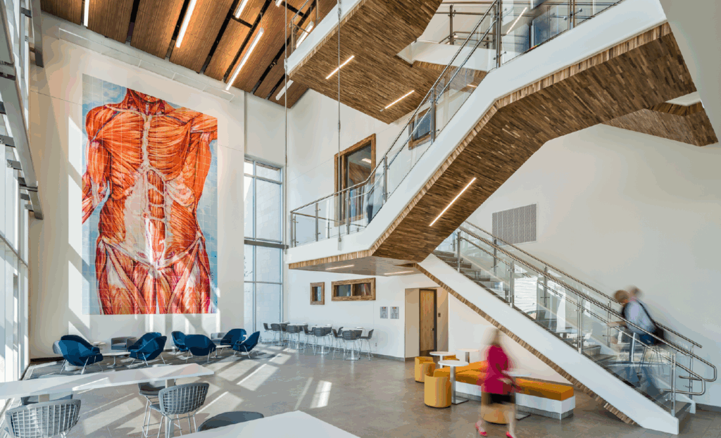 interior of college of osteopathic medicine with floating ataircase and large anatomical mural