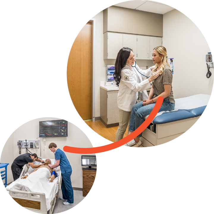 Layered Graphics + Fillable Shapes_06 4,5,6,8